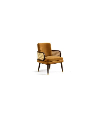Sienna Cane Lounge Chair hand-woven cane chair – Taksh Homes