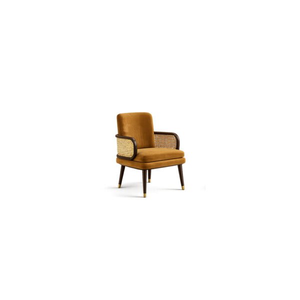 Sienna Cane Lounge Chair hand-woven cane chair – Taksh Homes