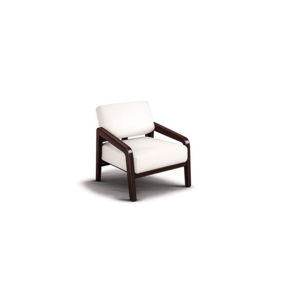 Amber Frame Lounge Chair premium fabric chair – Taksh Homes